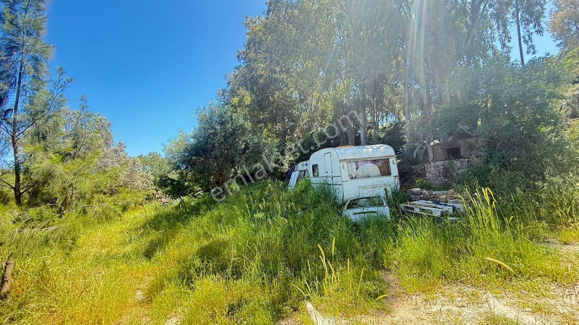 Turgutreis'de İçinde Taş Ev Ve Mandalina Bahçesi Bulunan Tarla - Görsel 26