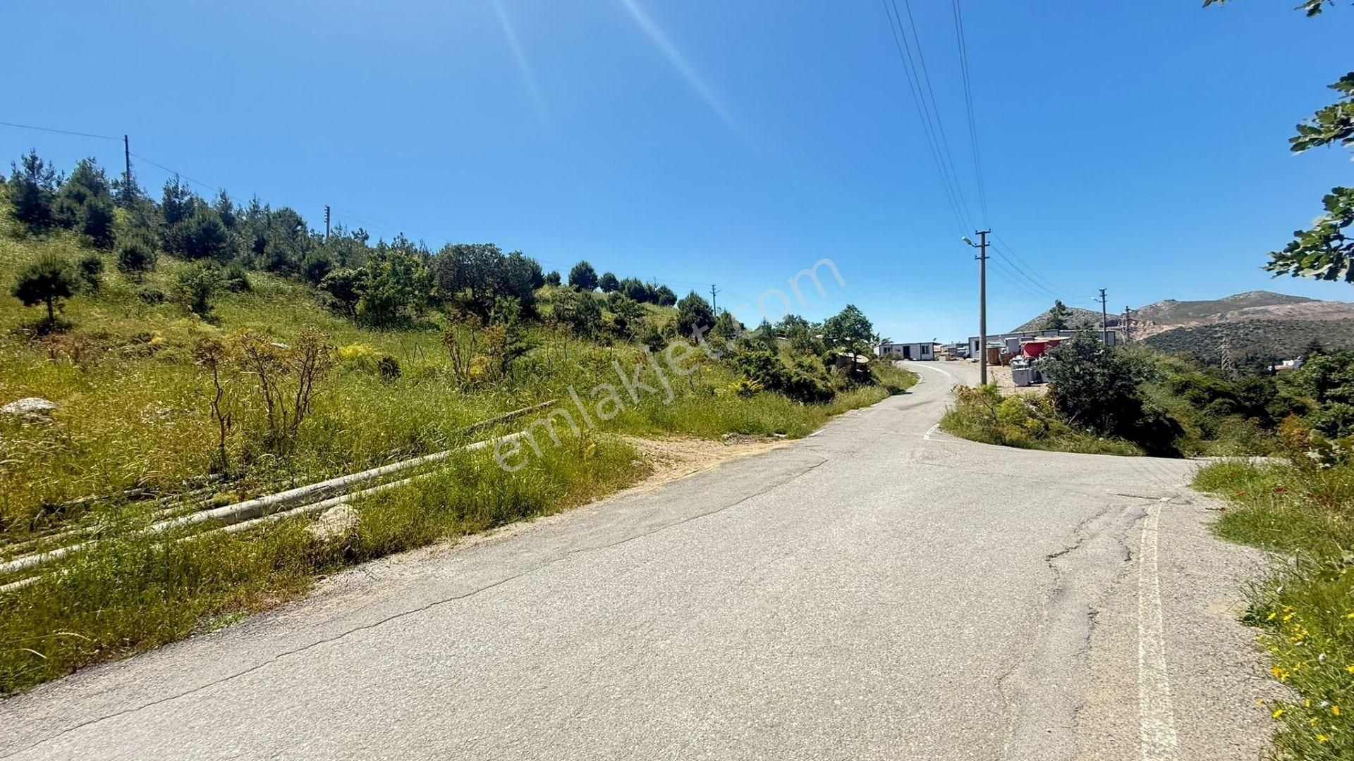 Turgutreis'de İçinde Taş Ev Ve Mandalina Bahçesi Bulunan Tarla - Görsel 3