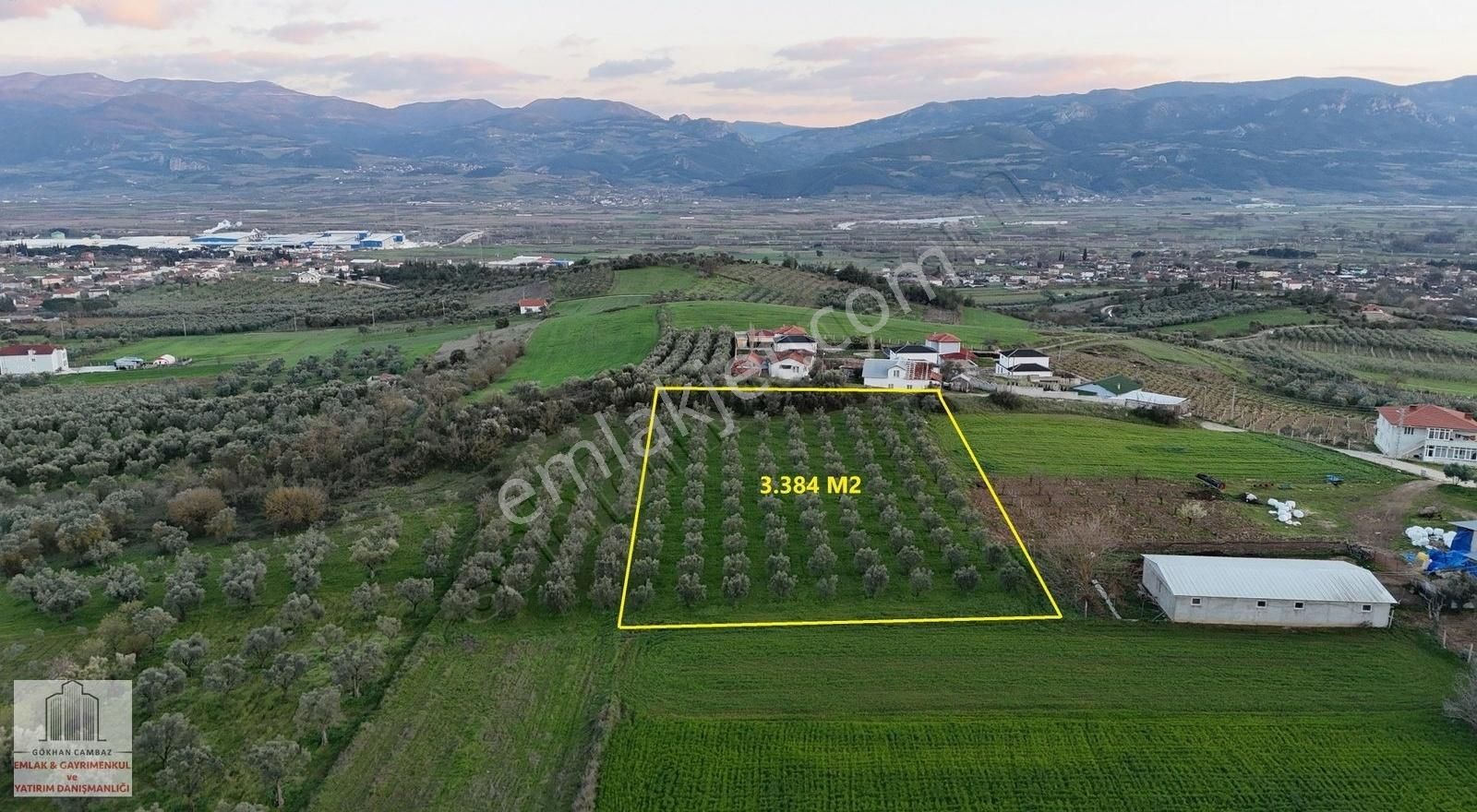 Muhteşem Bir Manzaraya Sahip 3.384m2 Konut İmarlı Zeytin Bahçesi
