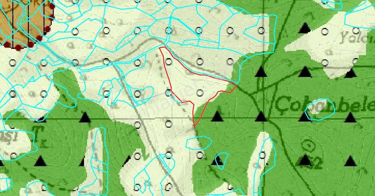 Elvan Özçelik'den Çökertme Geren Sahiline Yakın Zeytinli Tarla - Görsel 9