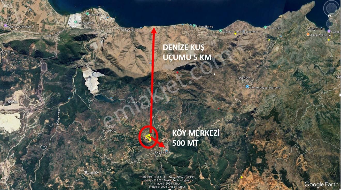Elvan Özçelik'den Çökertme Geren Sahiline Yakın Zeytinli Tarla - Görsel 6