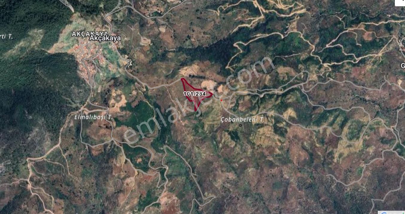 Elvan Özçelik'den Çökertme Geren Sahiline Yakın Zeytinli Tarla - Görsel 3