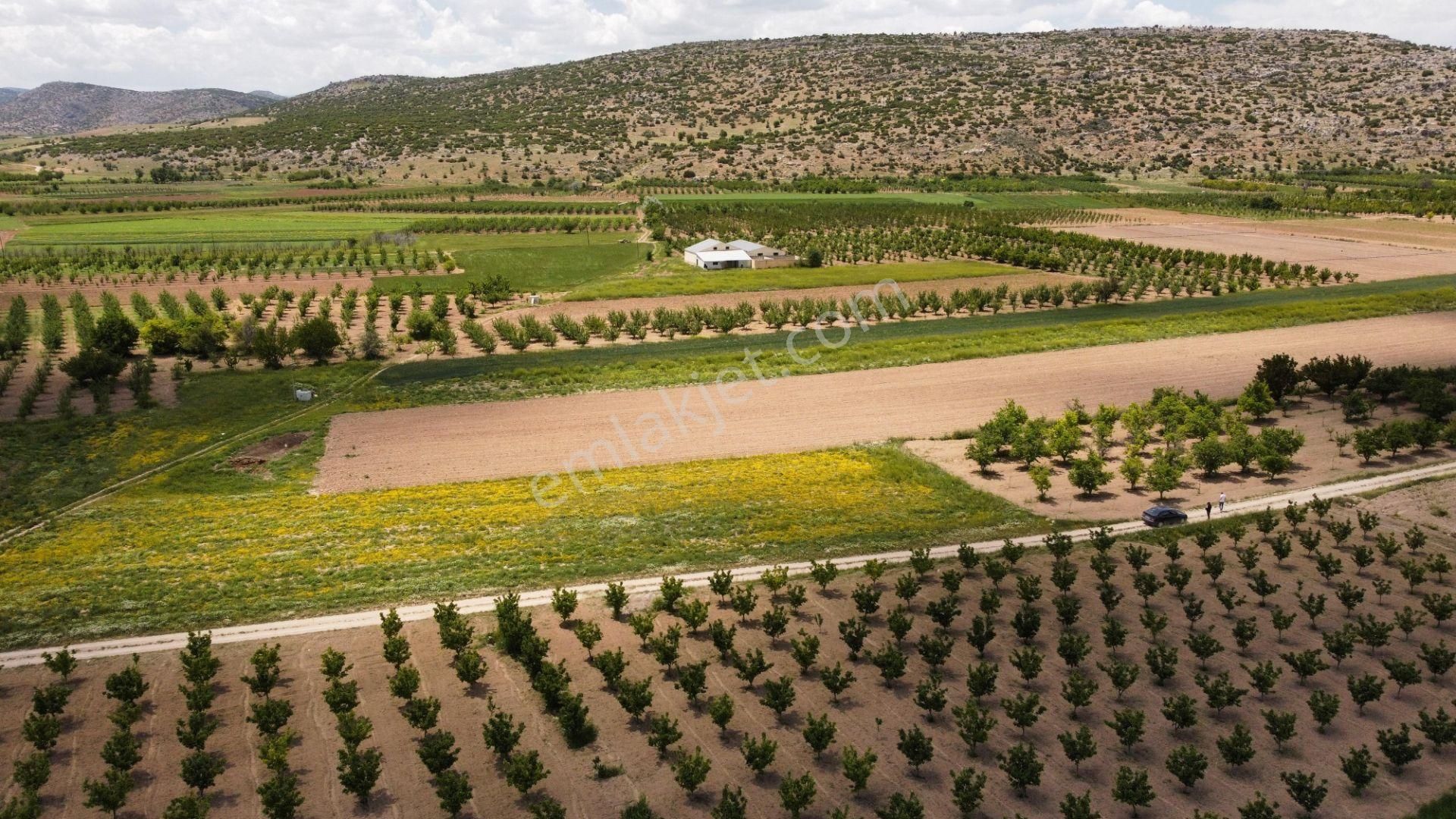 Arasta Gayrimenkul Den Küçükköy Mahallesinde Muhteşem Tarla - Görsel 9