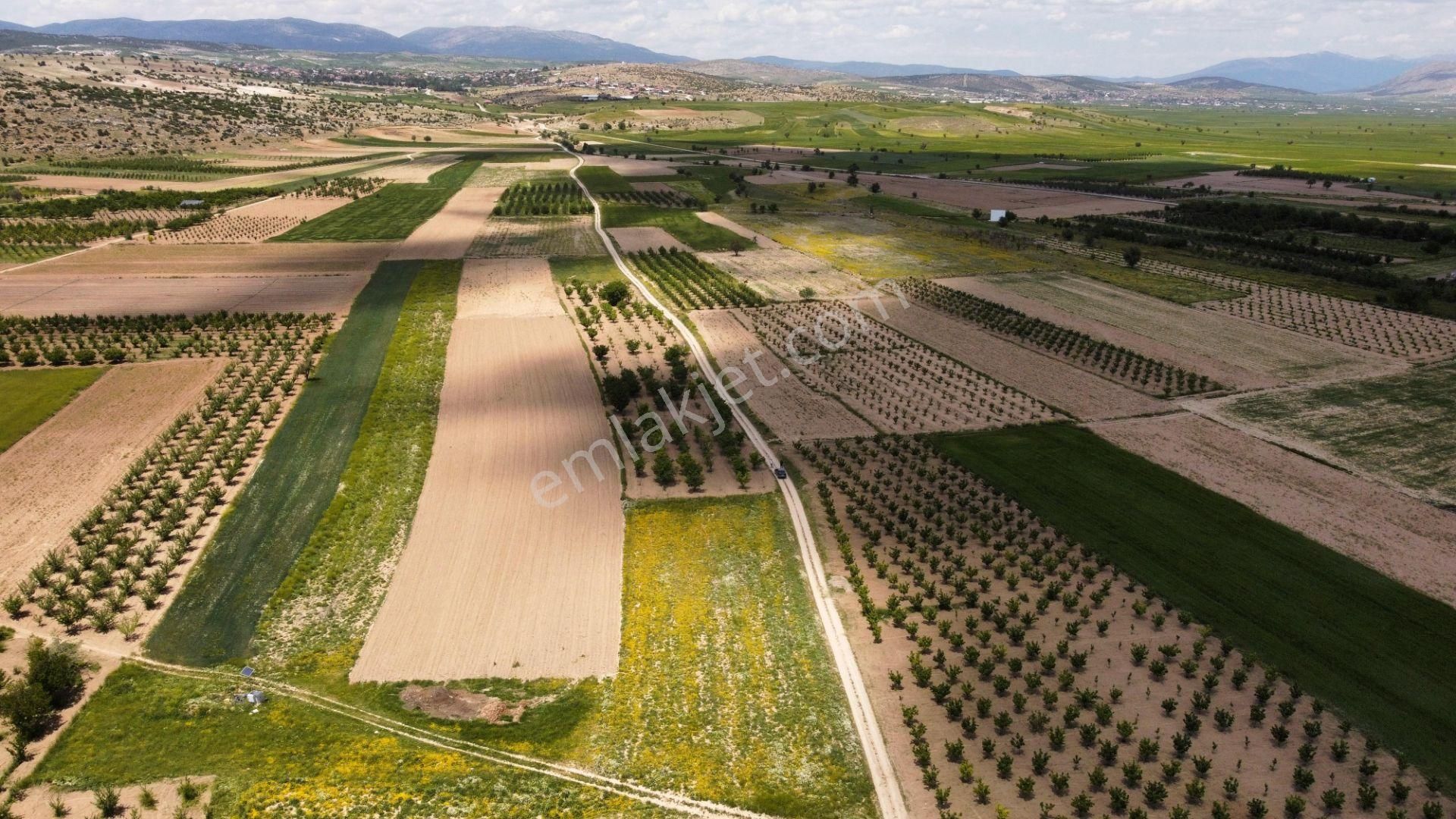 Arasta Gayrimenkul Den Küçükköy Mahallesinde Muhteşem Tarla - Görsel 6