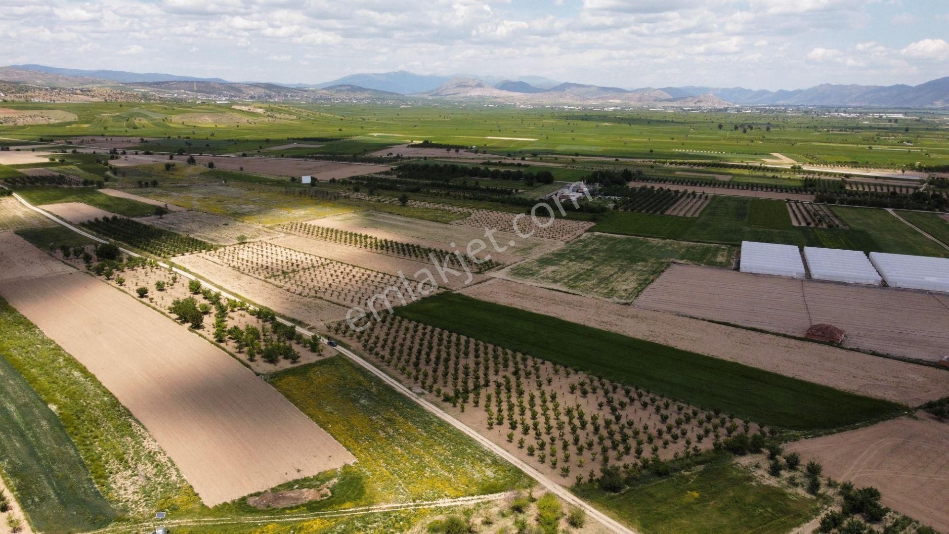 Arasta Gayrimenkul Den Küçükköy Mahallesinde Muhteşem Tarla - Görsel 12