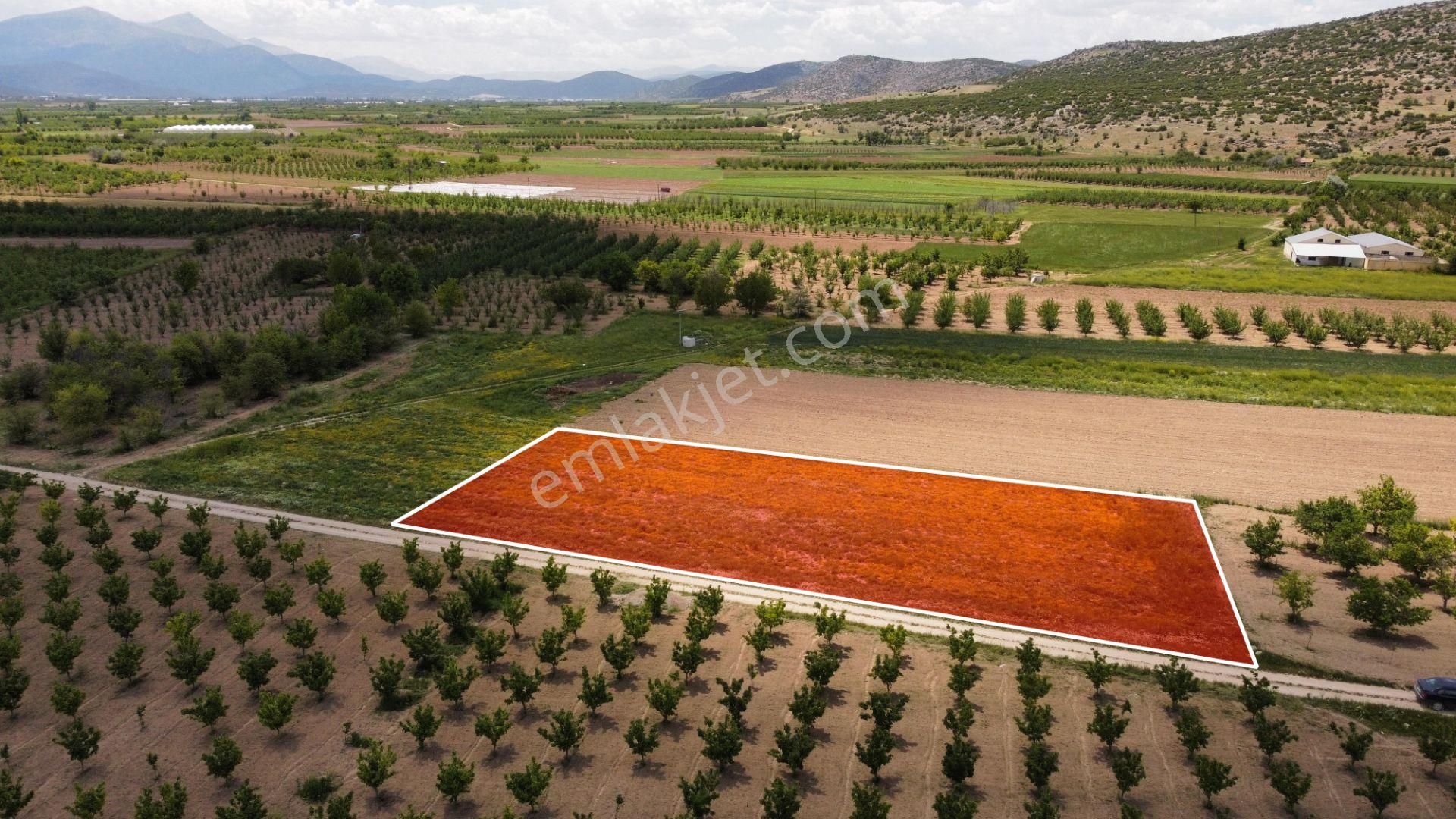 Arasta Gayrimenkul Den Küçükköy Mahallesinde Muhteşem Tarla - Görsel 3