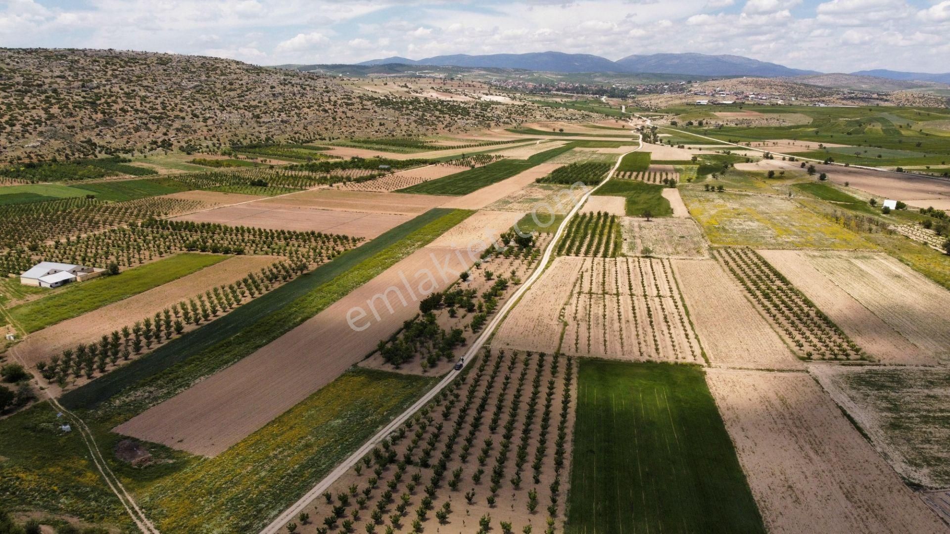 Arasta Gayrimenkul Den Küçükköy Mahallesinde Muhteşem Tarla - Görsel 16