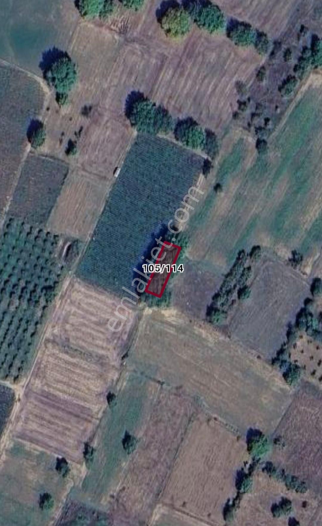 Roma' Dan Küçük Yenice' De Satılık Tarla
