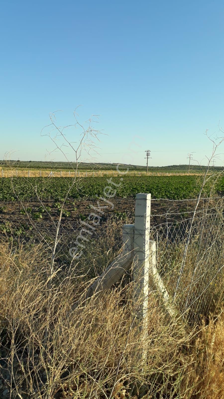 Ays Den Satılık Tarla - Görsel 4