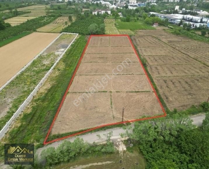 Konuralp Şehit Hüseyin Kıl Mahallesinde 5.280m2 Tarım Arazisi