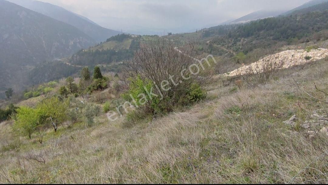 Bursa Keles Gelemiç Köyü’nde Vadi Manzaralı Hobi Bahçesi! - Görsel 6