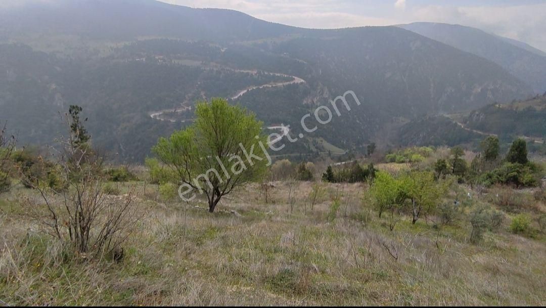 Bursa Keles Gelemiç Köyü’nde Vadi Manzaralı Hobi Bahçesi! - Görsel 5
