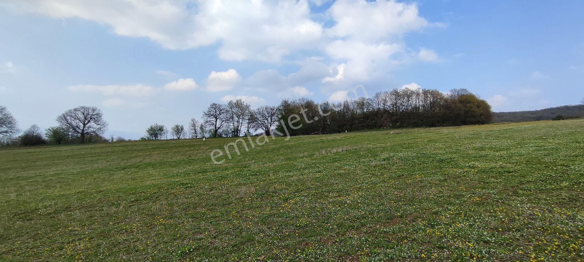 Bursa Yenişehir Gökçesuda Satılık 2300 M2 Tarla