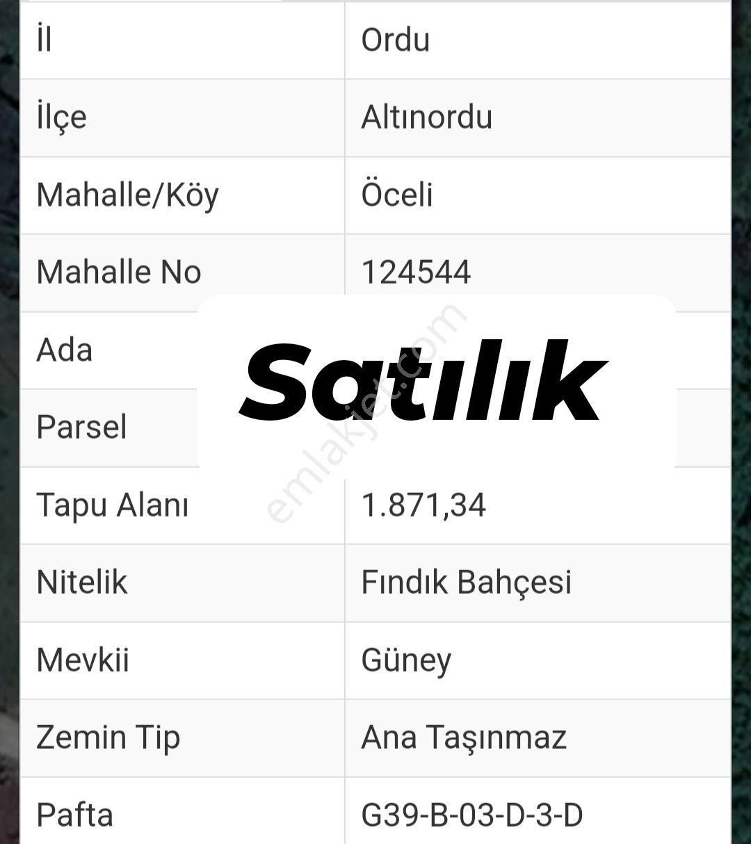 Ordu Altınordu Öceli Mahallesi,nde Satılık Tarla