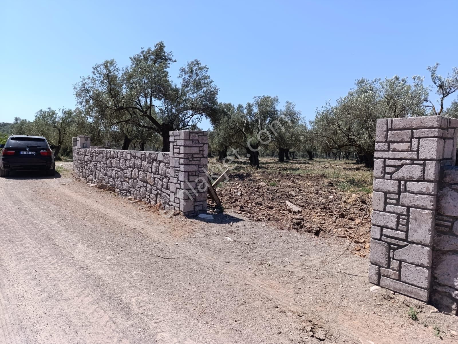 Dıalog Göktürk' Ten Eski Altınova Yolunda Zeytinlik