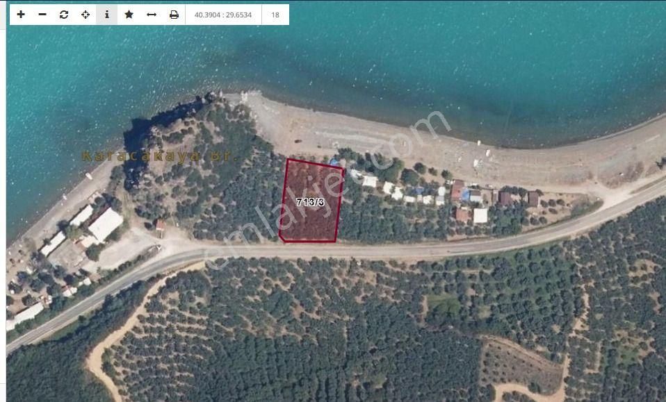 İznik Zeytinlik Bahçesi