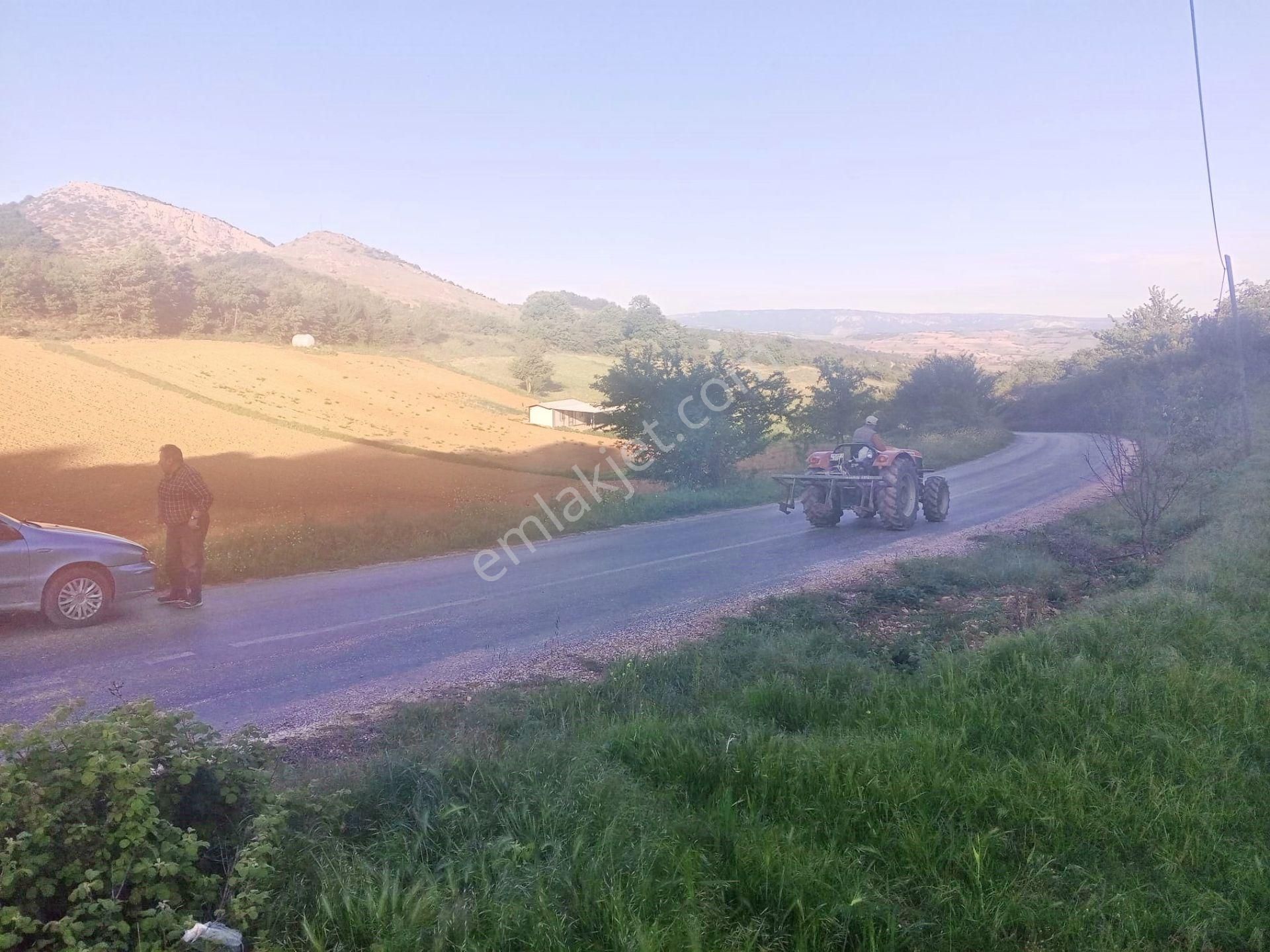Yenişehir Kızılhisar'da Köye Yakın Yola Cepheli 4852,m2-tarla