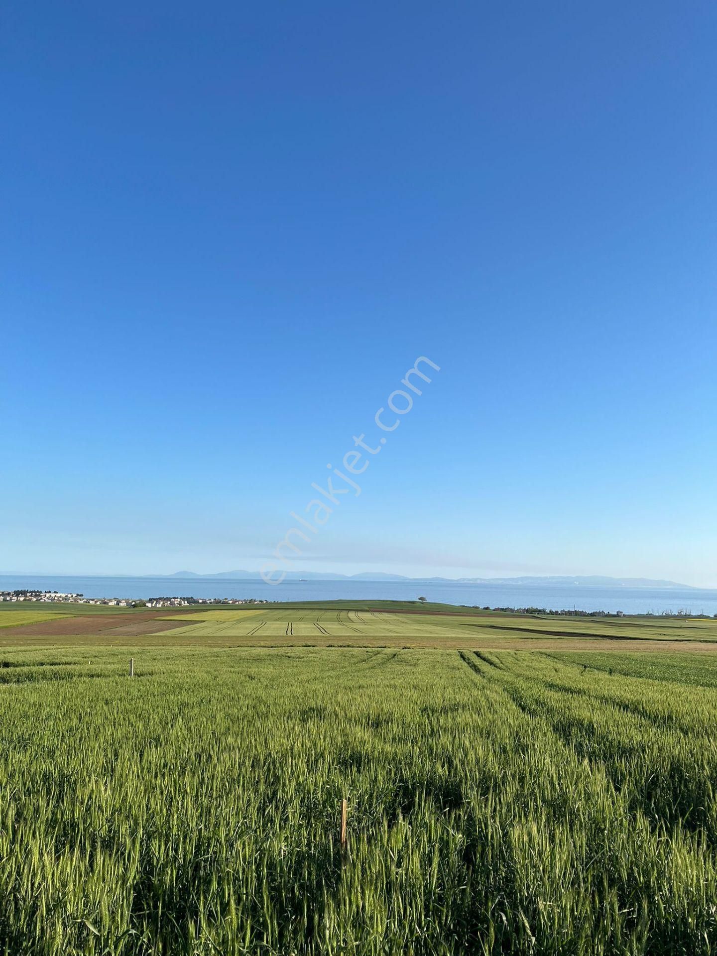 Tekirdag Marmaraereglisi E5 Yakın Denize Sıfır Villa Arsası