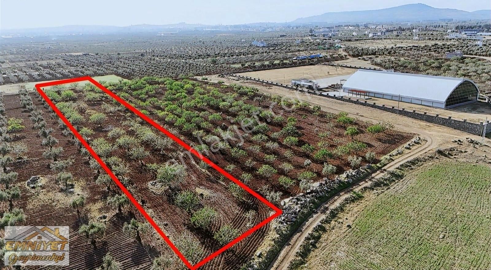 Satlık Oylum Müze Yanında Fıstık Evladiyelik Resmi Yol Üzeri