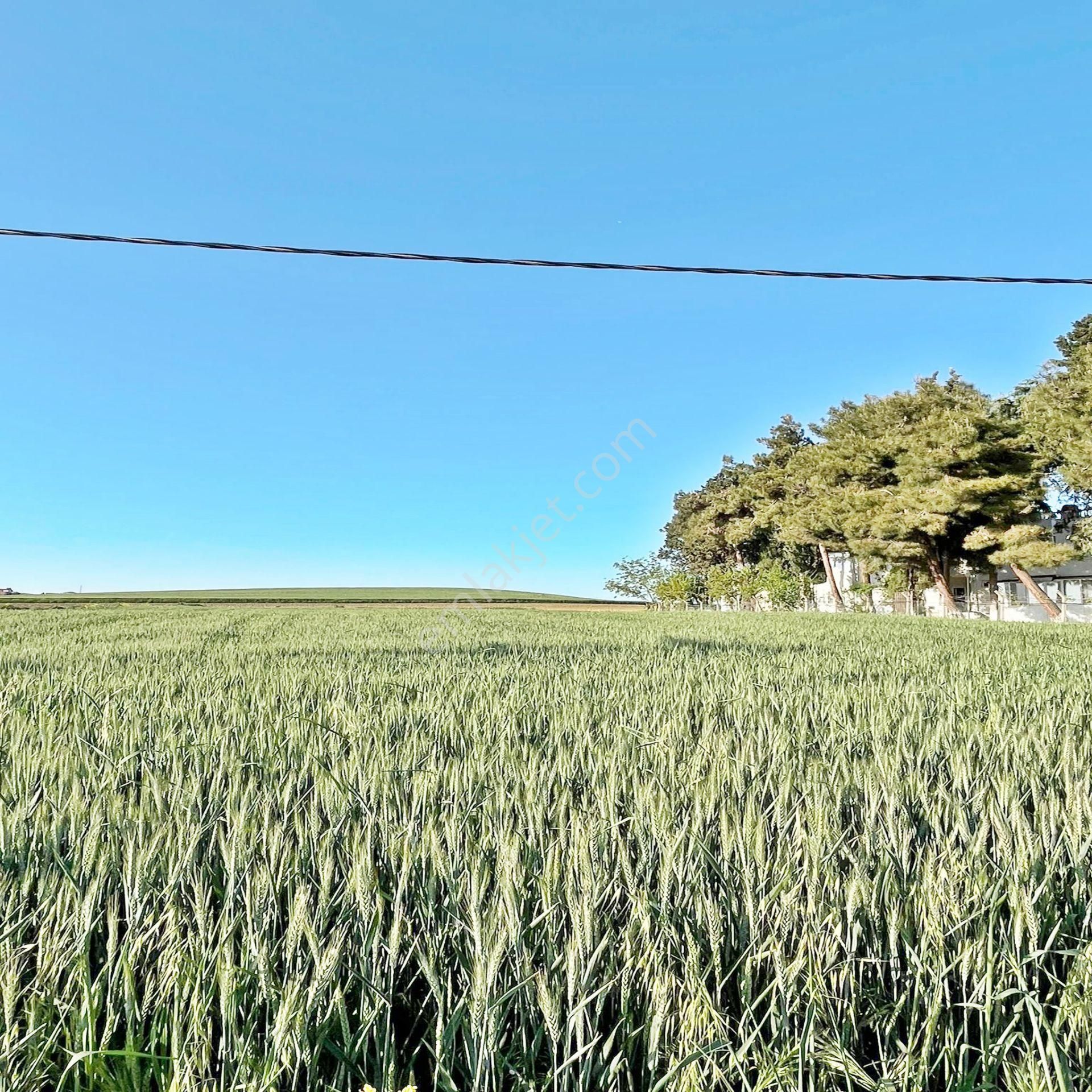 Marmaraereglisi Çeşmeli 300m2 Araç Takasına Uygun Satılık Arsa