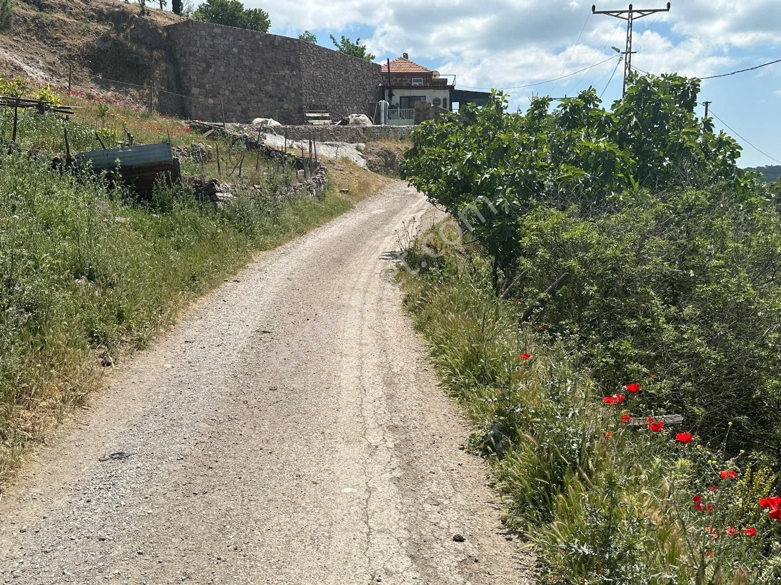 Çanakkale Ayvacık Küçükhüsun Da Satılık İmarlı Arsa Yatırım Potansiyeli
