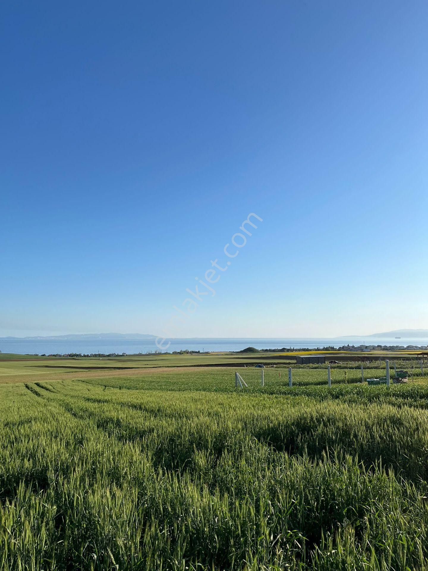 Tekirdağ Marmaraereglisi Çeşmeli Son Fırsat!! Etrafı Çevrili 250m2 Denize Yakın Yapıya Uygun