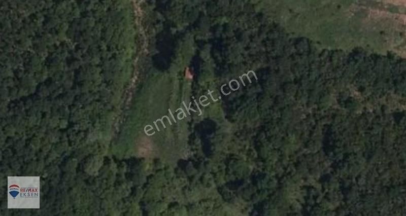 Şile Şuayipli'de Doğa İçinde 4.475 M² Müstakil Tapulu Tarla