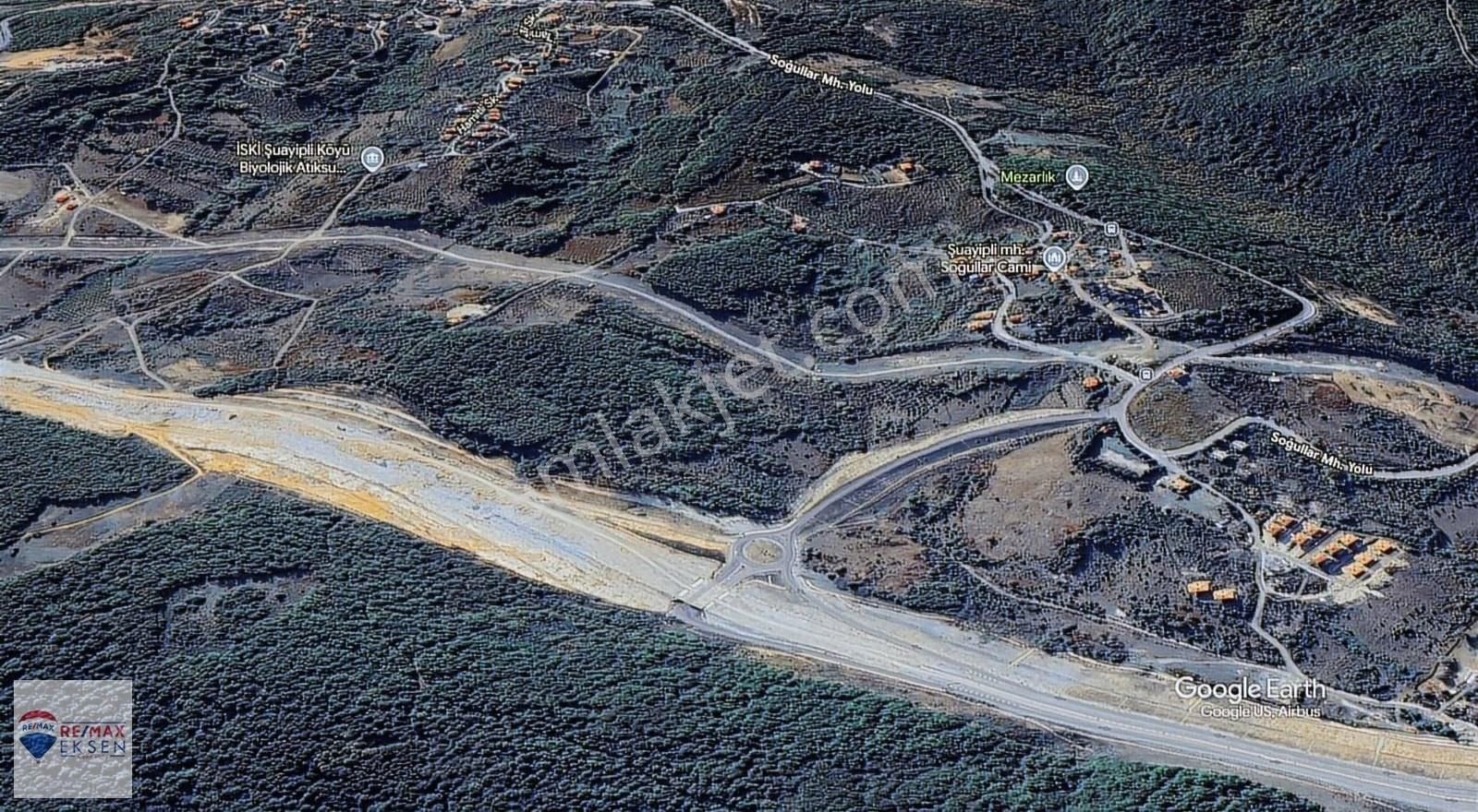 Şile Şuayipli'de 1.895 M² Satılık Geniş Tarla