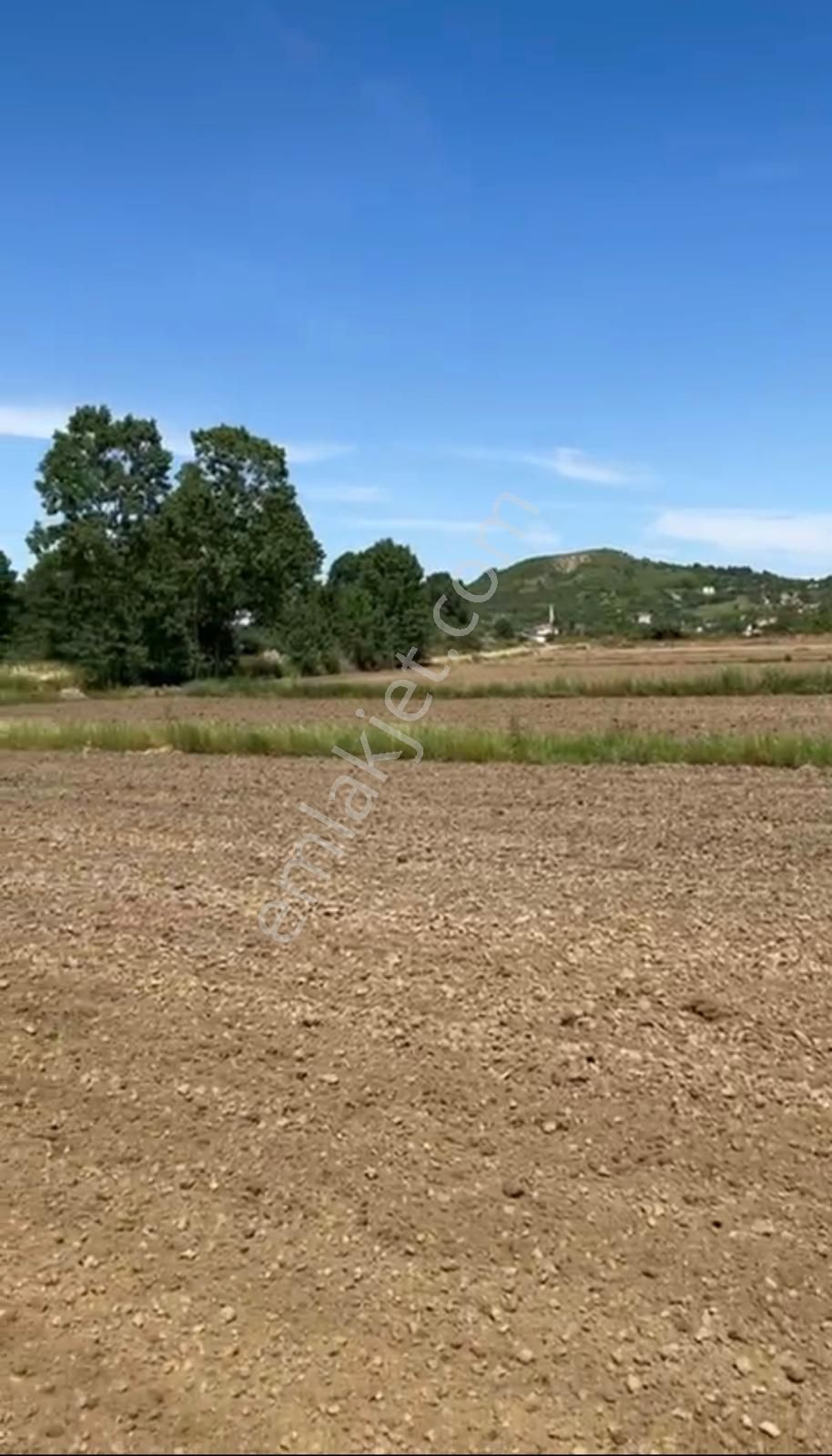 Edirne Altınyazı'da Köy Dibi Satılık Tarla
