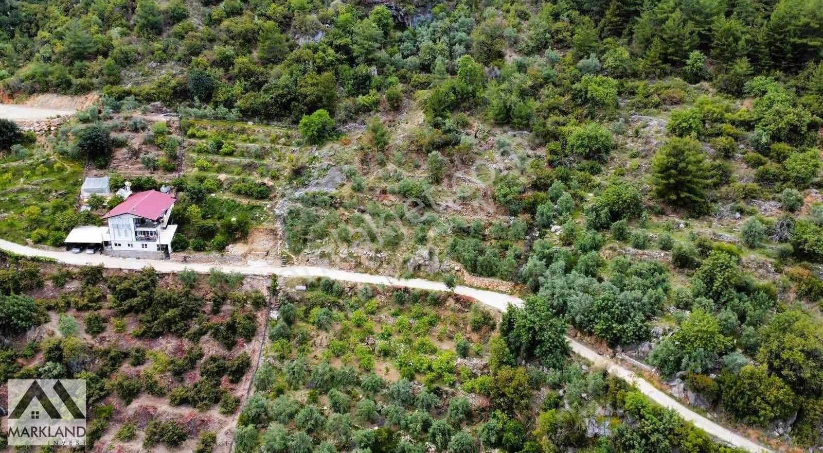 Değirmendere Mahallesinde Deniz Ve Doğa Manzaralı - Görsel 5