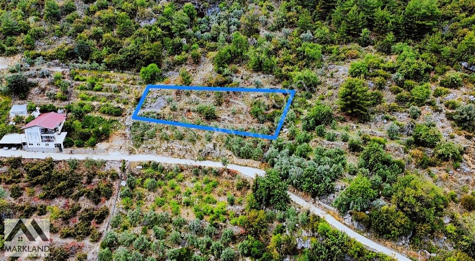 Değirmendere Mahallesinde Deniz Ve Doğa Manzaralı - Görsel 6