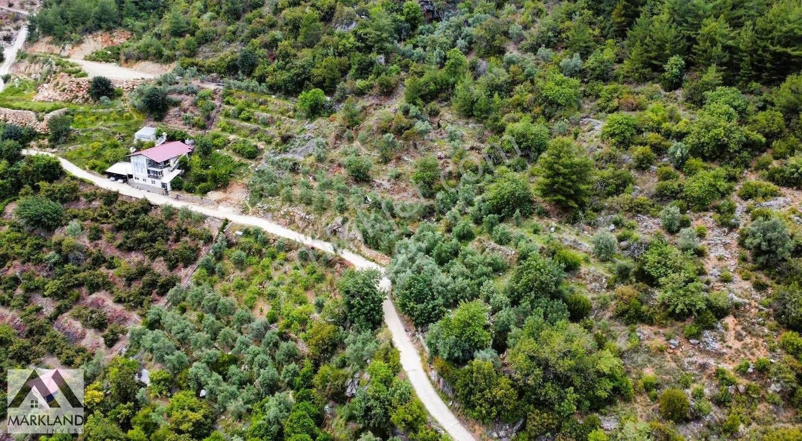 Değirmendere Mahallesinde Deniz Ve Doğa Manzaralı - Görsel 7