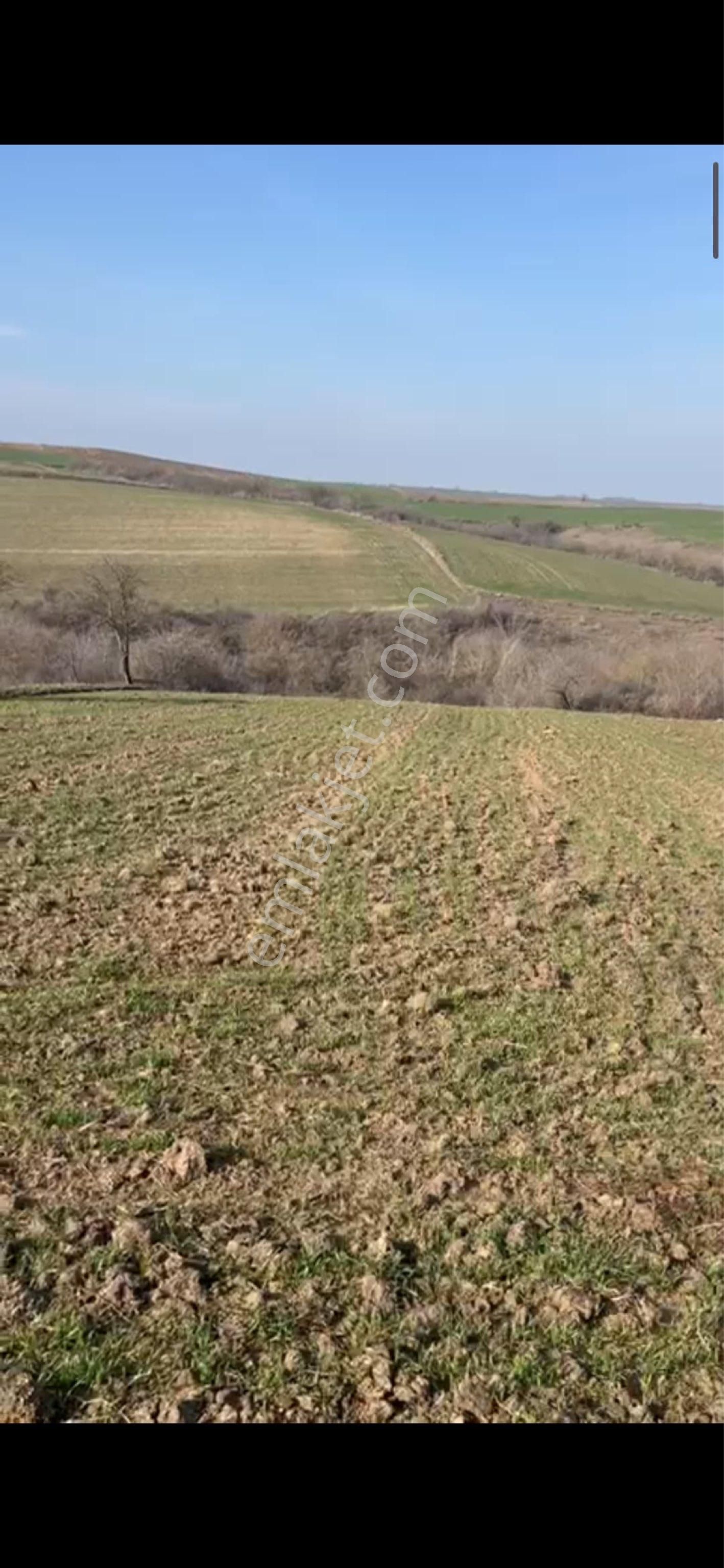 **tekirdağ Hayrabolu Kadriye’de 2.100 M2 Tek Tapu Fırsat**