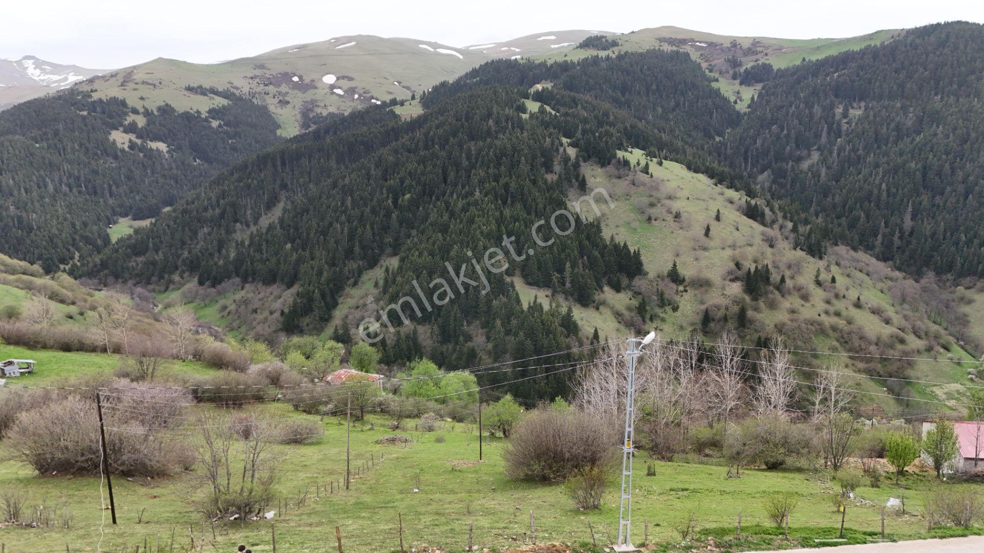 Altın Emlak Giresun'dan Kümbet Uzundere'de Satılık Arsa 1604m² - Görsel 9