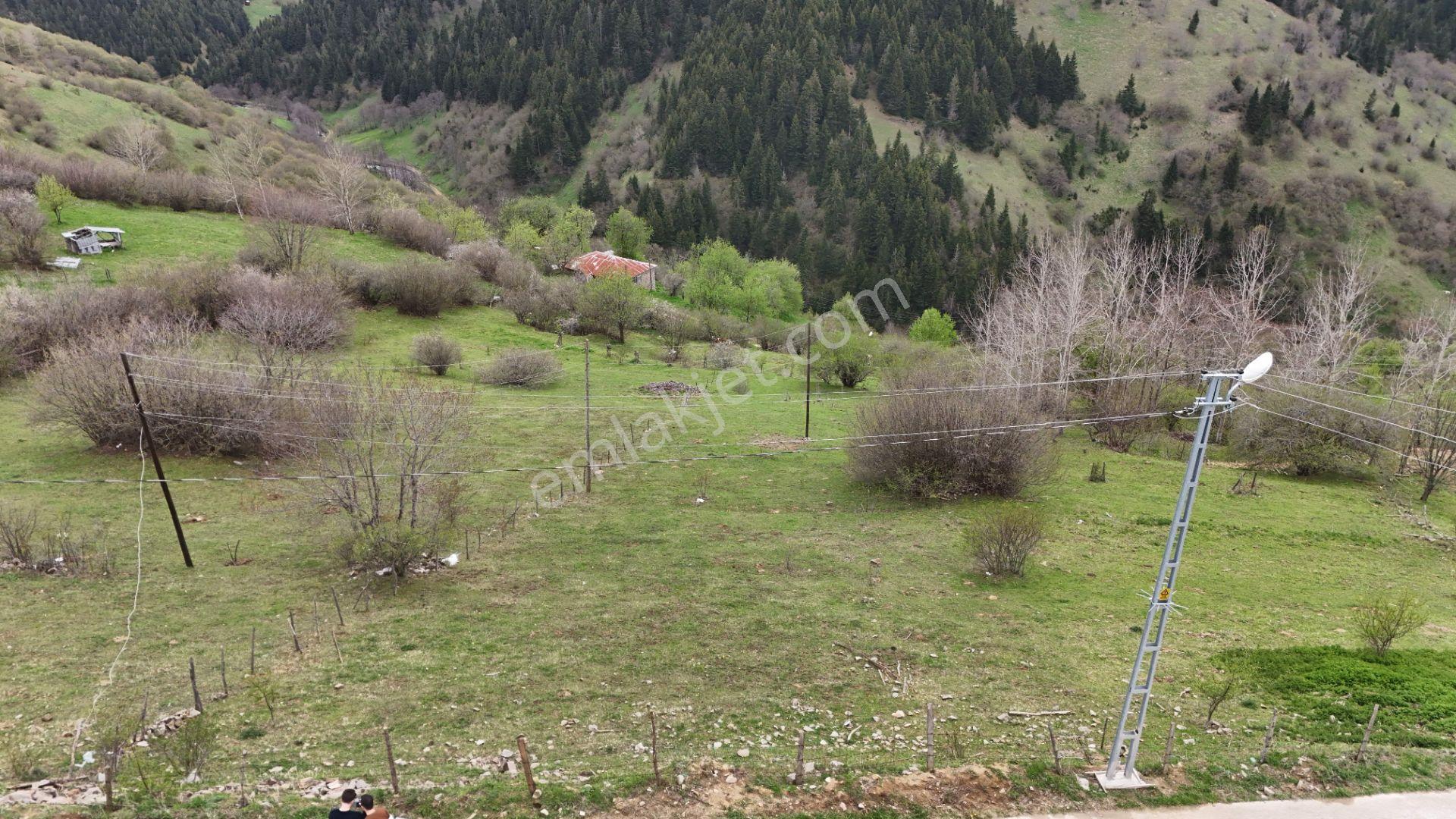 Altın Emlak Giresun'dan Kümbet Uzundere'de Satılık Arsa 1604m² - Görsel 8