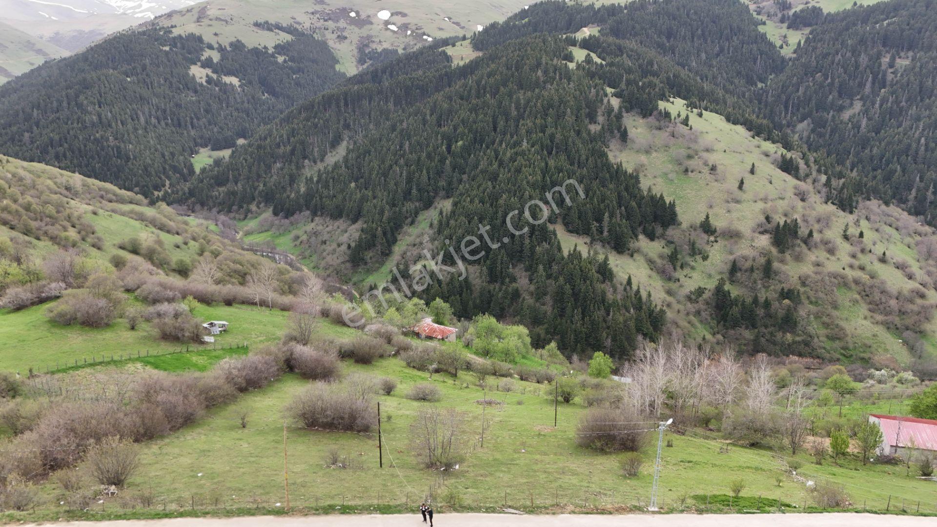 Altın Emlak Giresun'dan Kümbet Uzundere'de Satılık Arsa 1604m² - Görsel 6