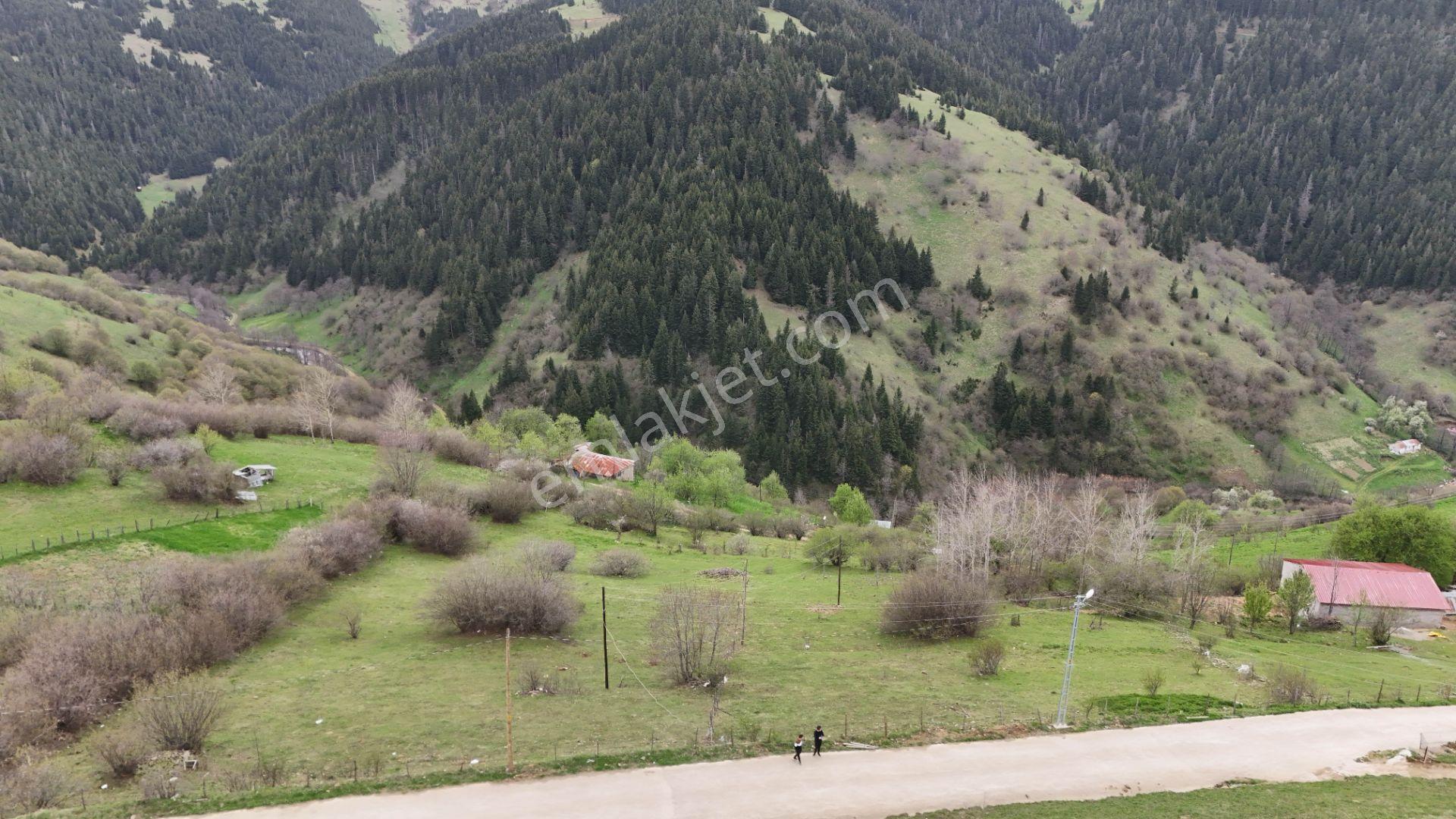 Altın Emlak Giresun'dan Kümbet Uzundere'de Satılık Arsa 1604m² - Görsel 5