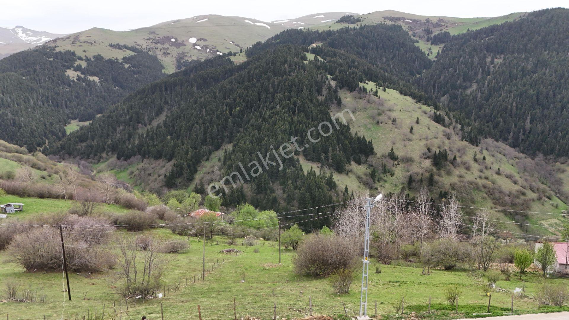 Altın Emlak Giresun'dan Kümbet Uzundere'de Satılık Arsa 1604m² - Görsel 10