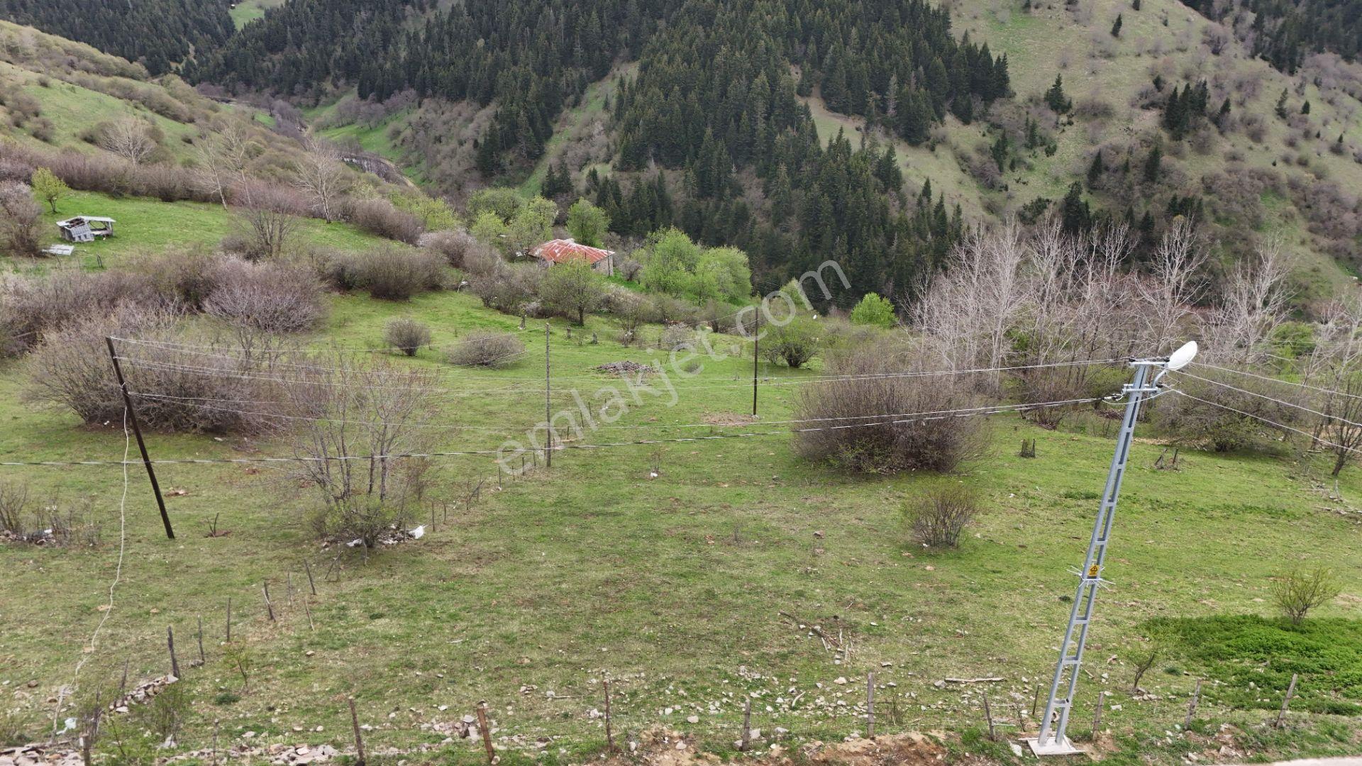 Altın Emlak Giresun'dan Kümbet Uzundere'de Satılık Arsa 1604m² - Görsel 7