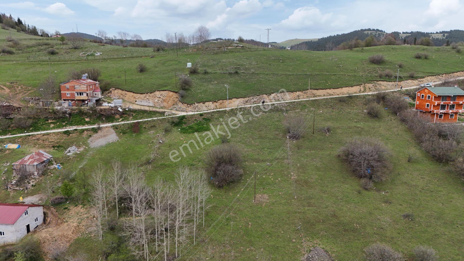 Altın Emlak Giresun'dan Kümbet Uzundere'de Satılık Arsa 1604m² - Görsel 11