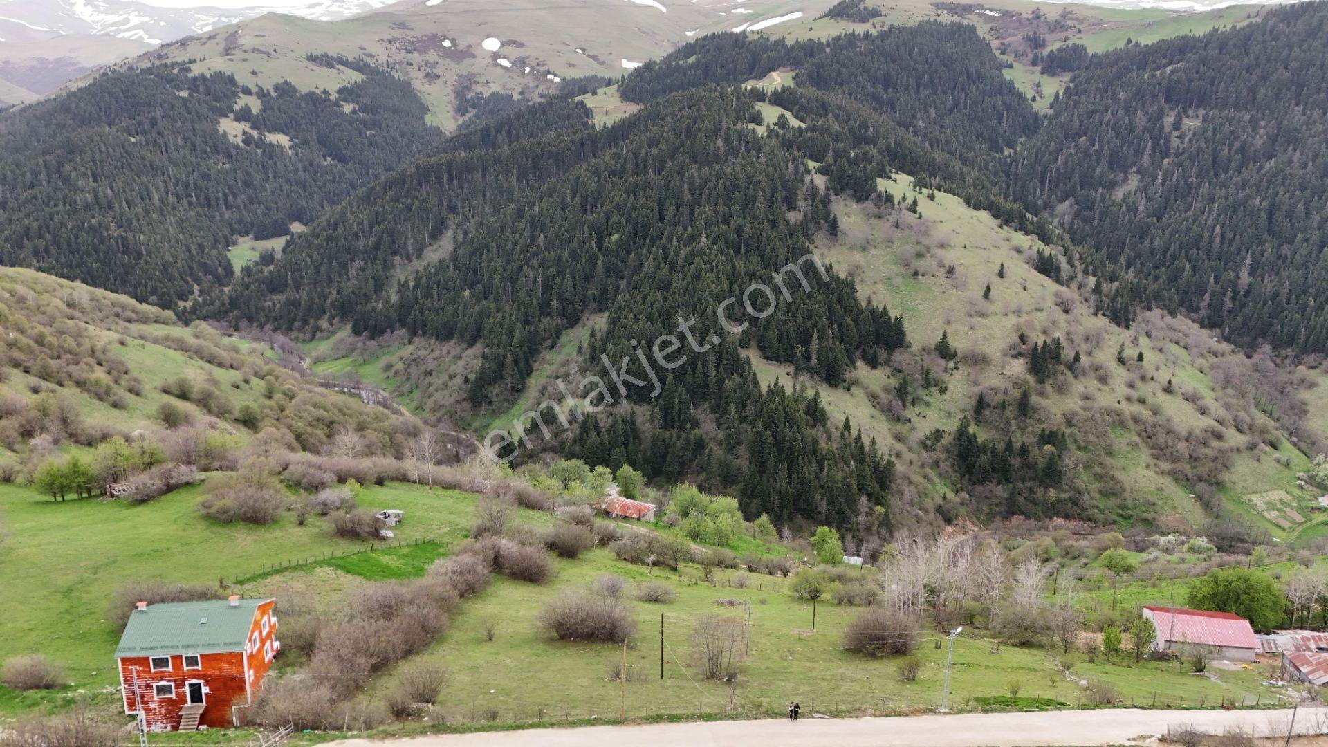 Altın Emlak Giresun'dan Kümbet Uzundere'de Satılık Arsa 1604m² - Görsel 4