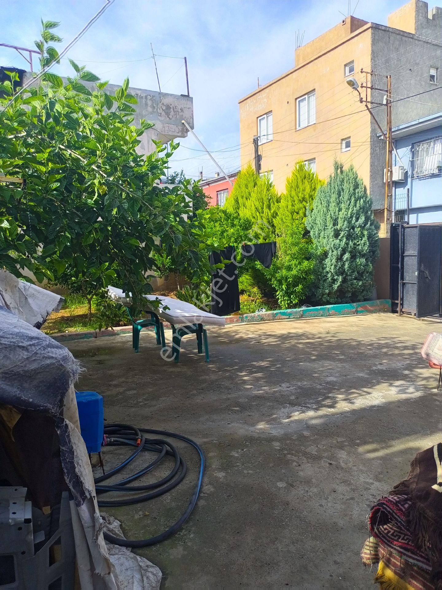 Şakirpaşa Onur Mah. Ömür Tıp Civarı 327m2 Geniş Bahçeli Tek Katlı Müstakil Ev - Görsel 5