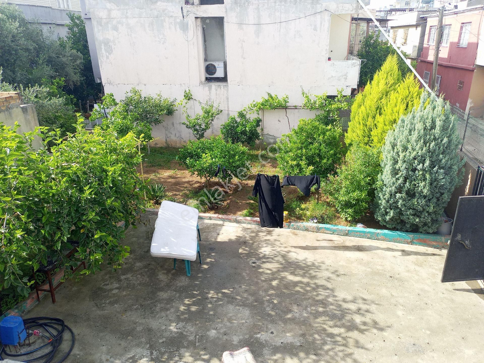 Şakirpaşa Onur Mah. Ömür Tıp Civarı 327m2 Geniş Bahçeli Tek Katlı Müstakil Ev - Görsel 3