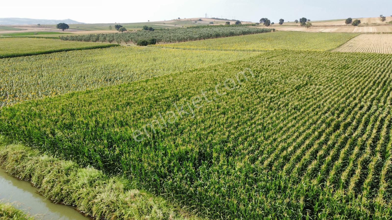 Burhan Ardıç'tan Karacabey Eskikaraağaç 4.700 M2 Arazi - Görsel 13