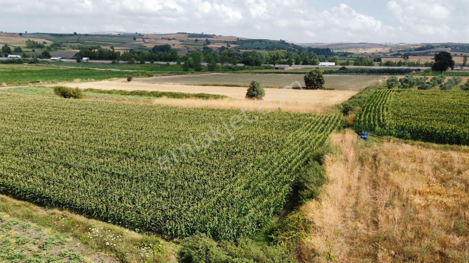 Burhan Ardıç'tan Karacabey Eskikaraağaç 4.700 M2 Arazi - Görsel 11