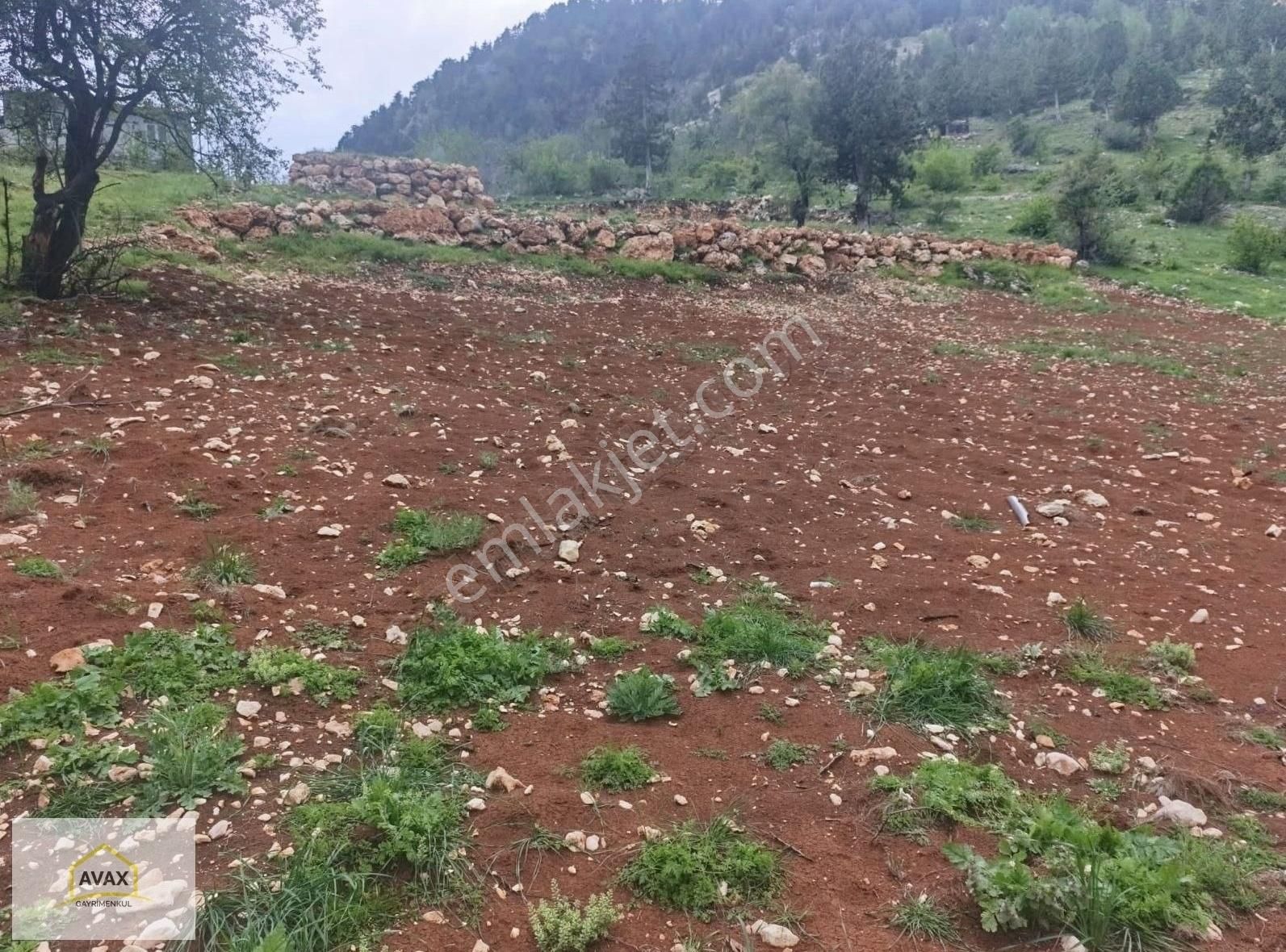 Avax'tan Fındıkpınarı Purçu'da 2 Dönüm Fırsat Satılık Tarla
