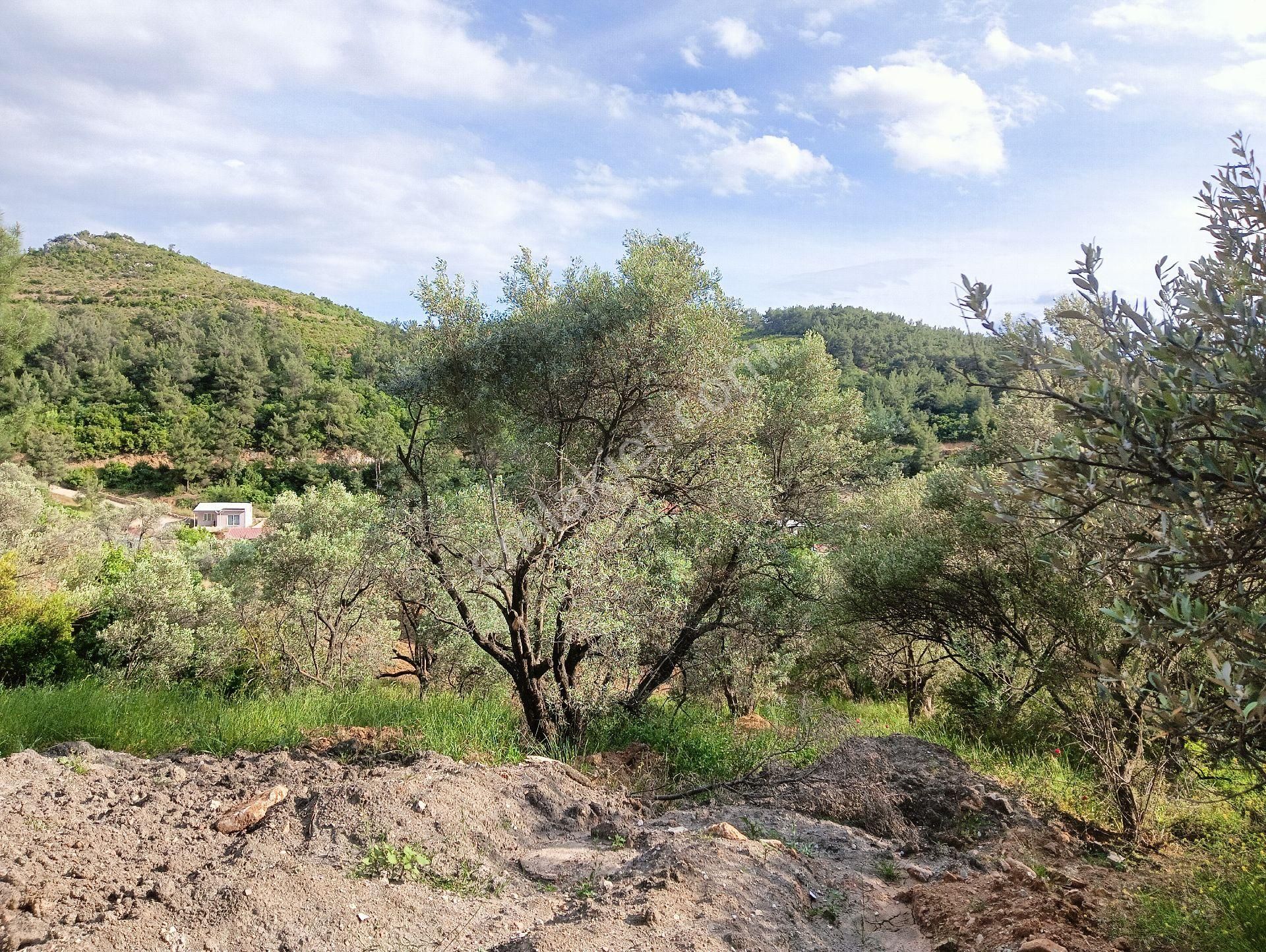 Buca Kaynaklarda Hisse Tapulu Arsa - Görsel 13
