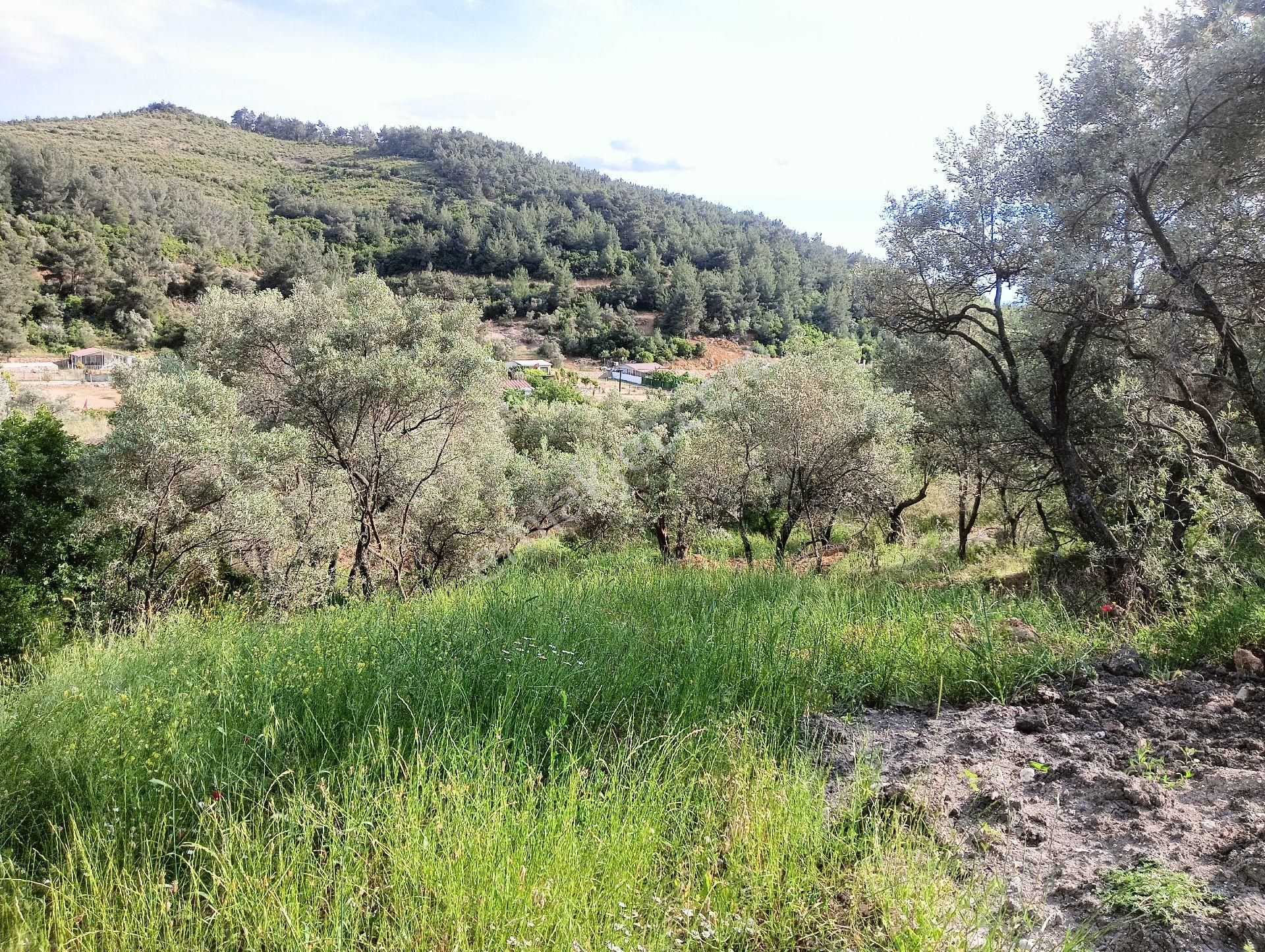 Buca Kaynaklarda Hisse Tapulu Arsa - Görsel 5