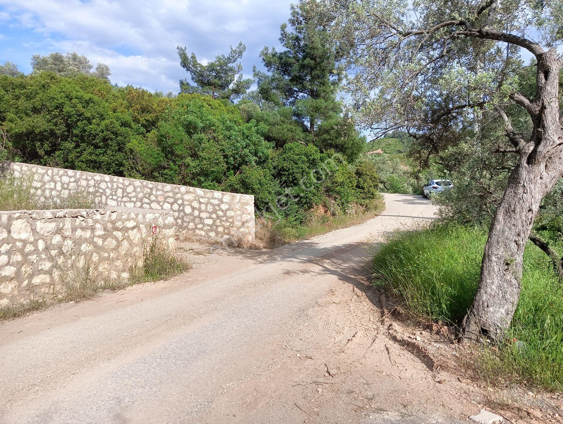 Buca Kaynaklarda Hisse Tapulu Arsa - Görsel 6