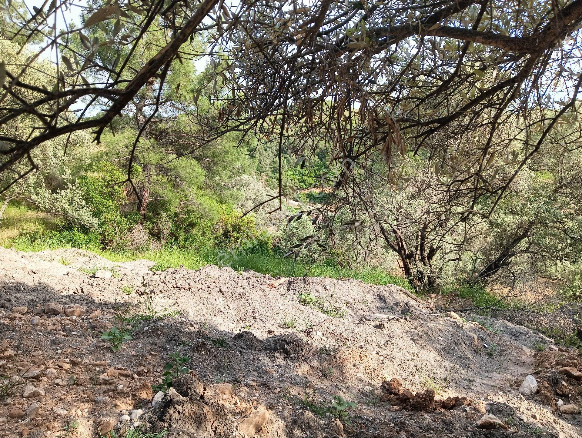 Buca Kaynaklarda Hisse Tapulu Arsa - Görsel 11